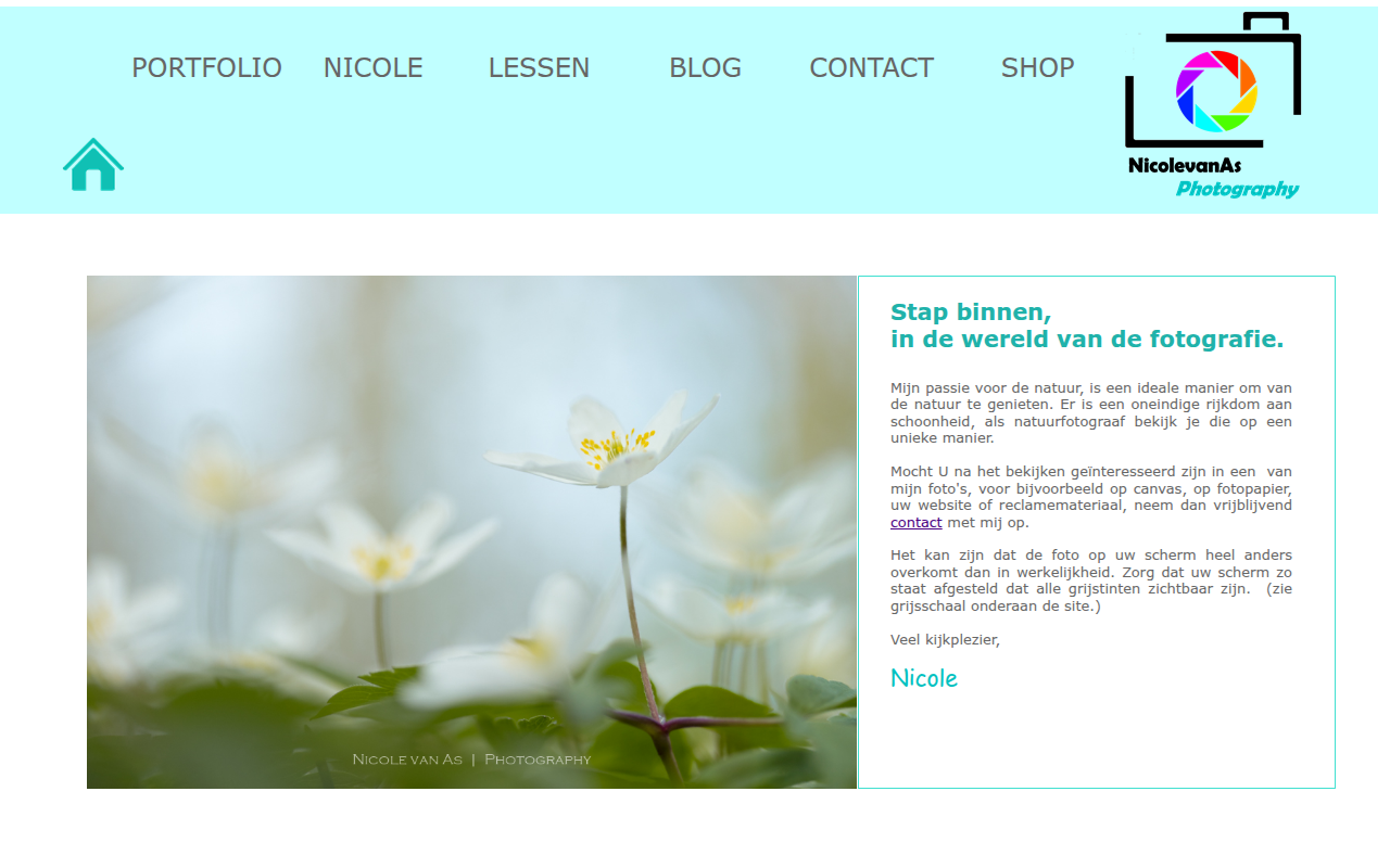 Screenshot van nivas.nl