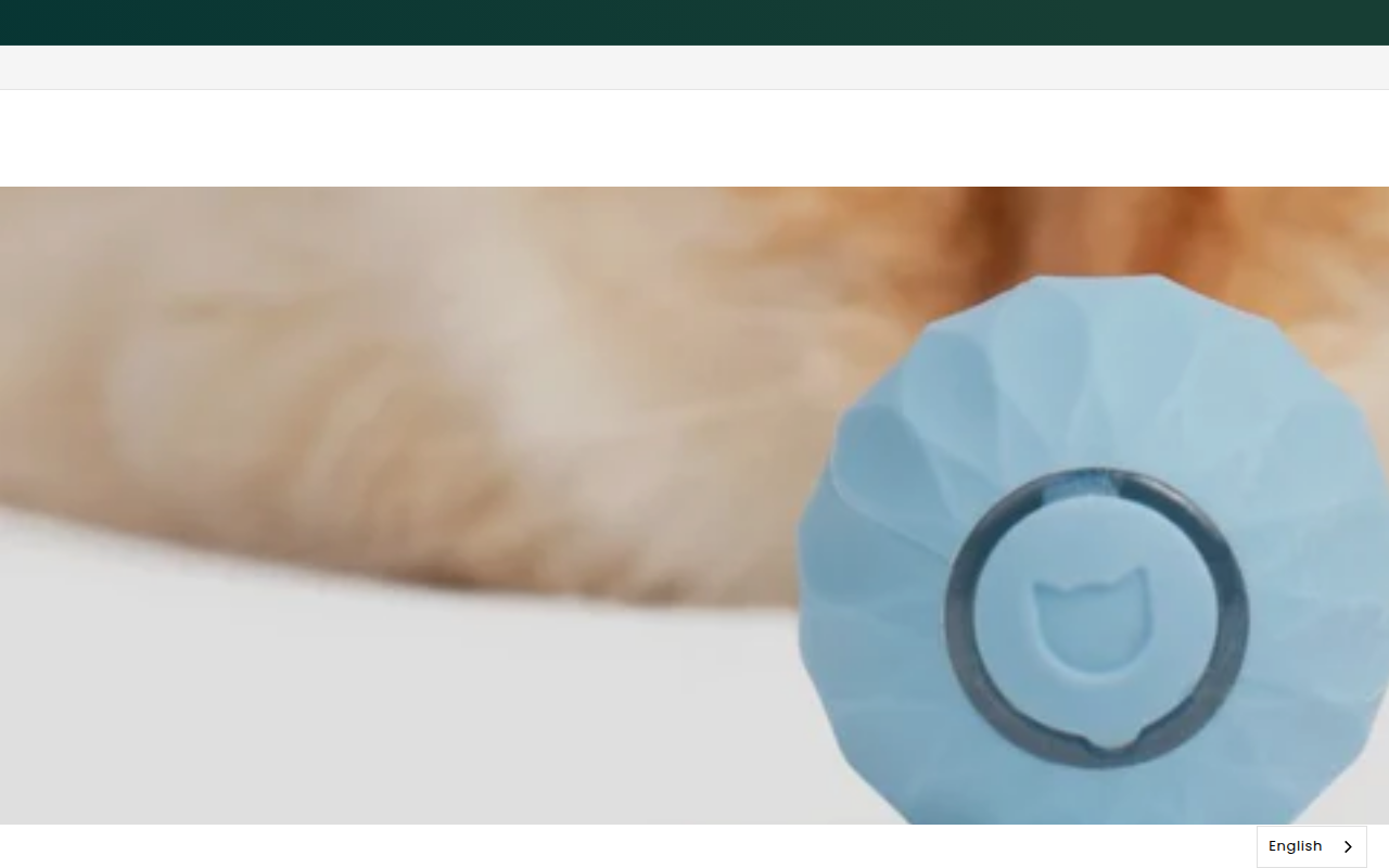 Screenshot van nl.wloom.com