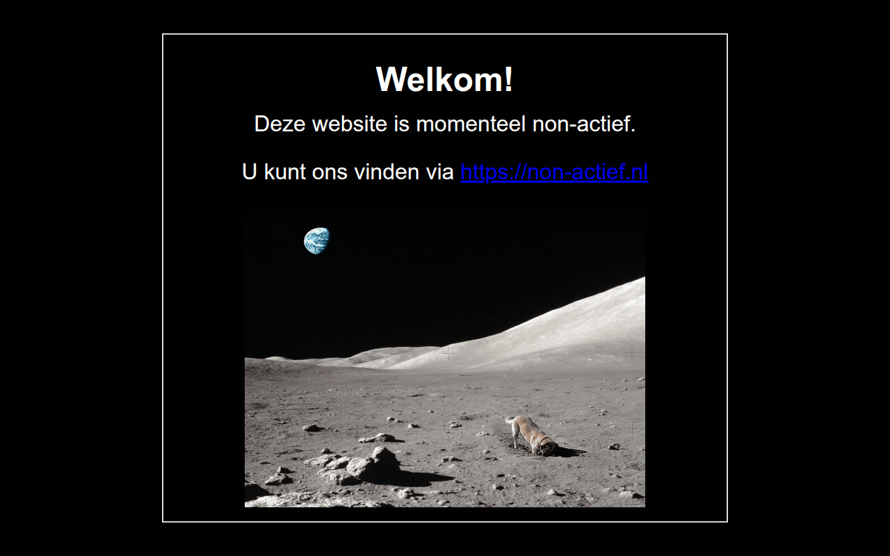Screenshot van non-actief.nl
