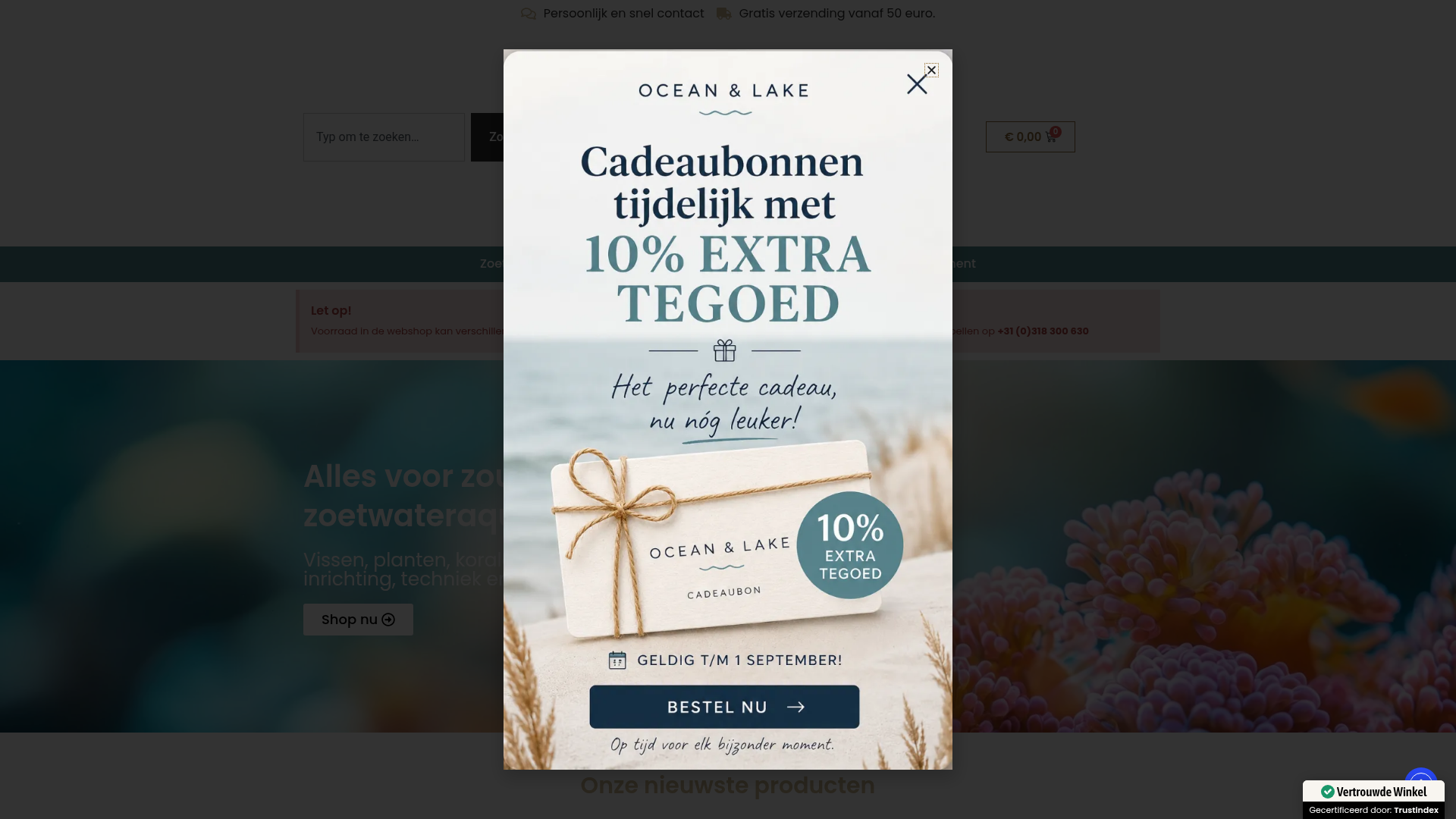Screenshot van oceanandlake.nl