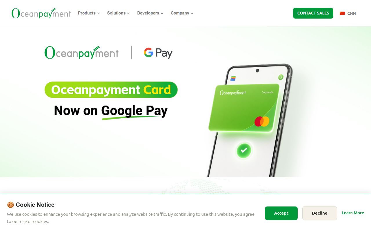 Screenshot van oceanpayment.com