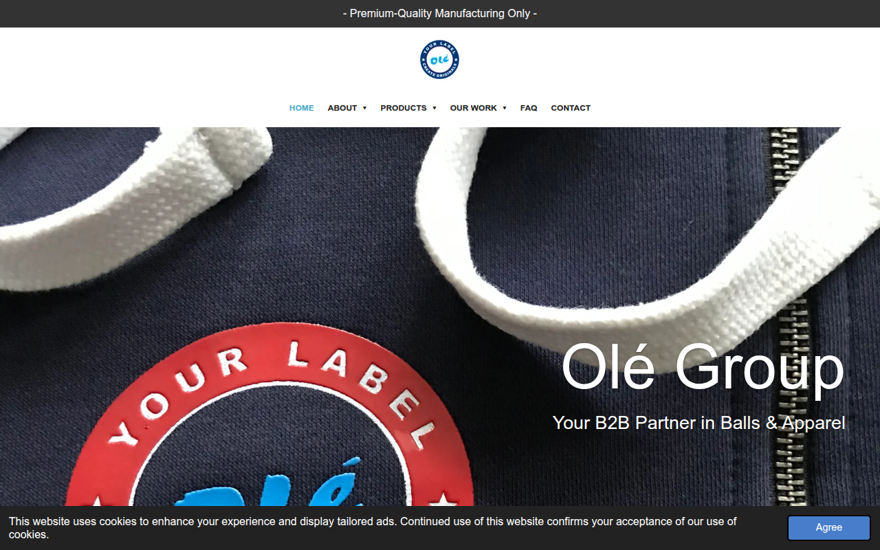 Screenshot van ole-group.com