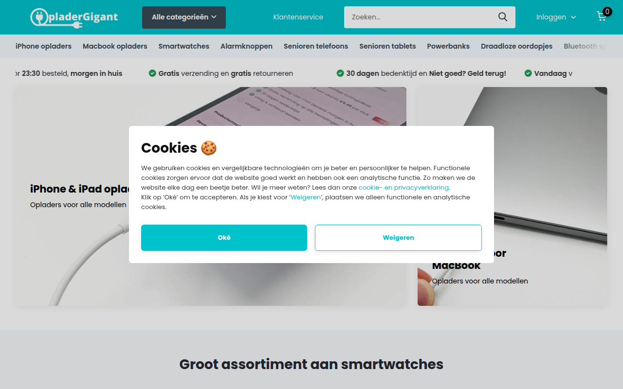 Screenshot van opladergigant.nl