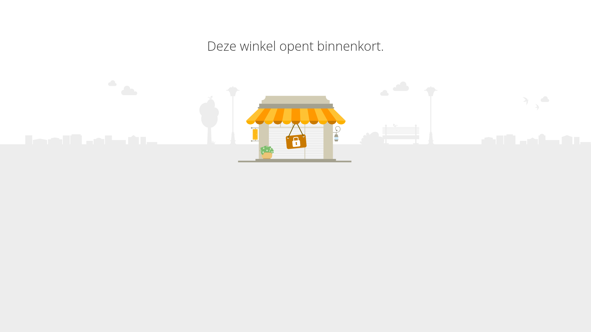 Screenshot van pakketbrievenbus-kopen.nl