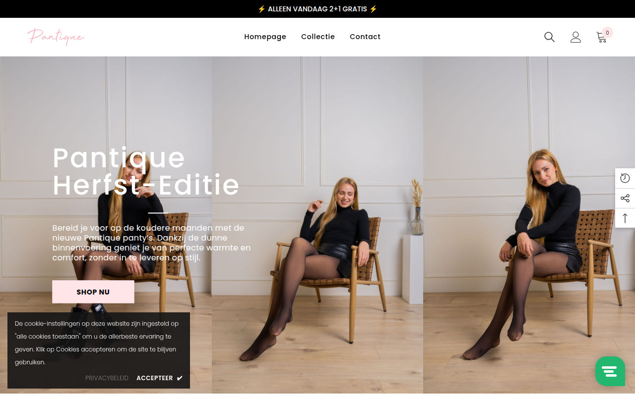 Screenshot van pantique.eu