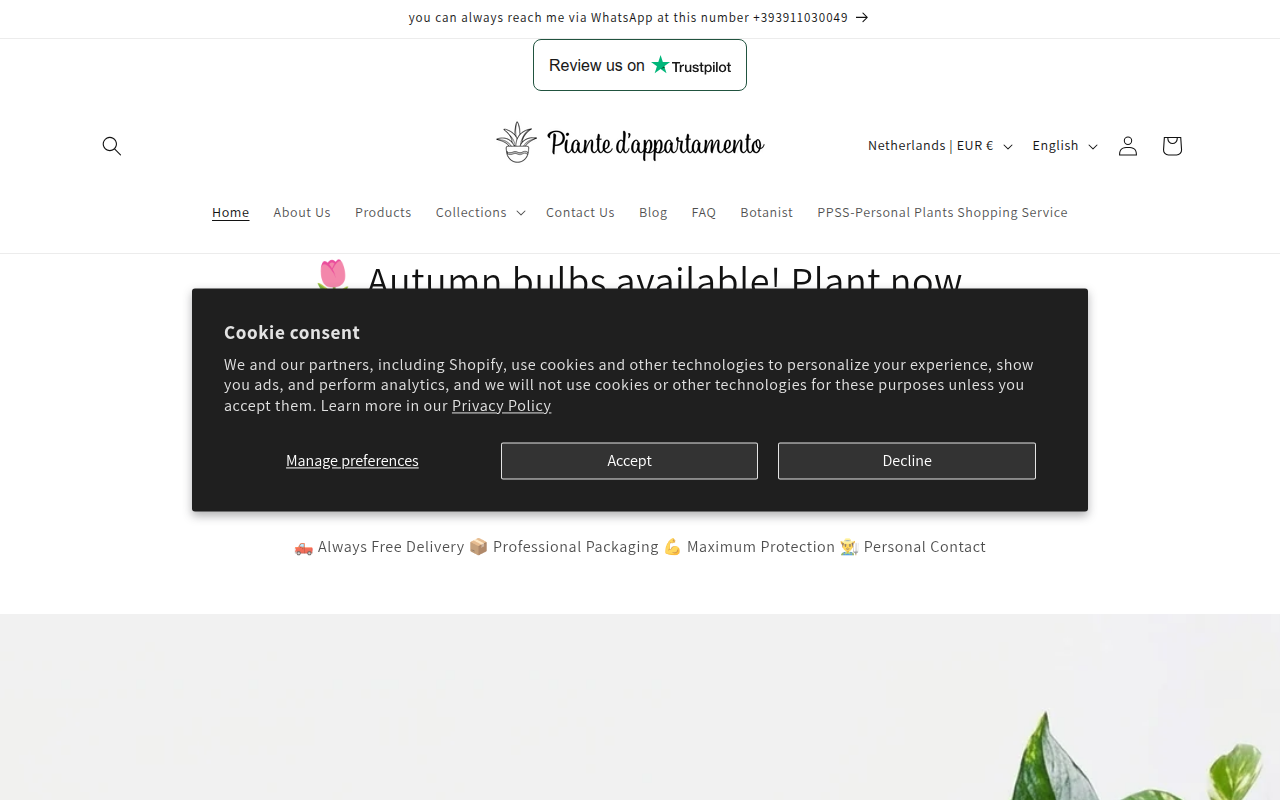 Screenshot van piantedappartamento.shop