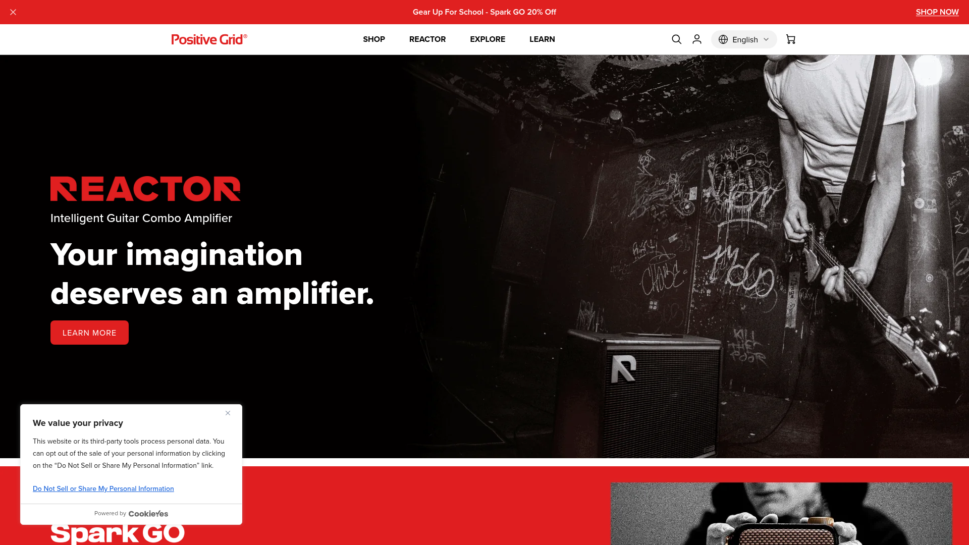 Screenshot van positivegrid.com