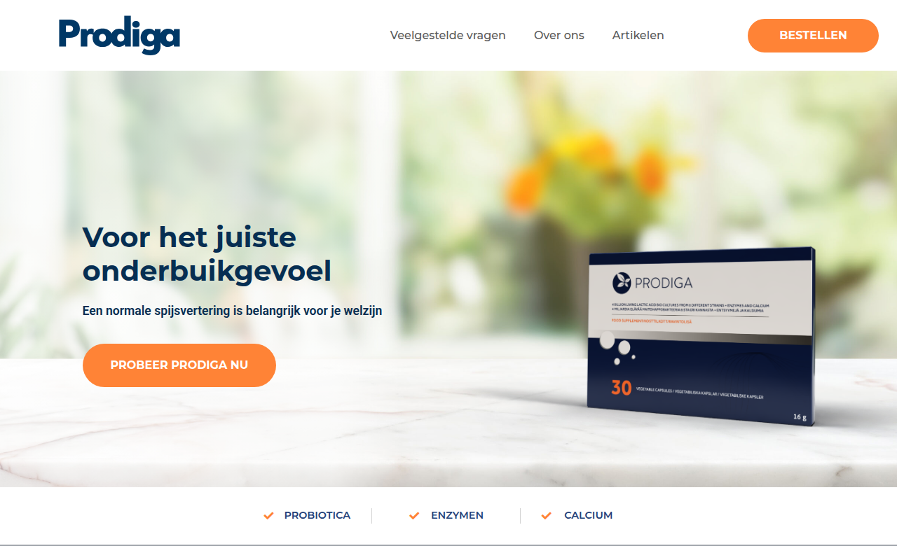 Screenshot van prodiga.nl