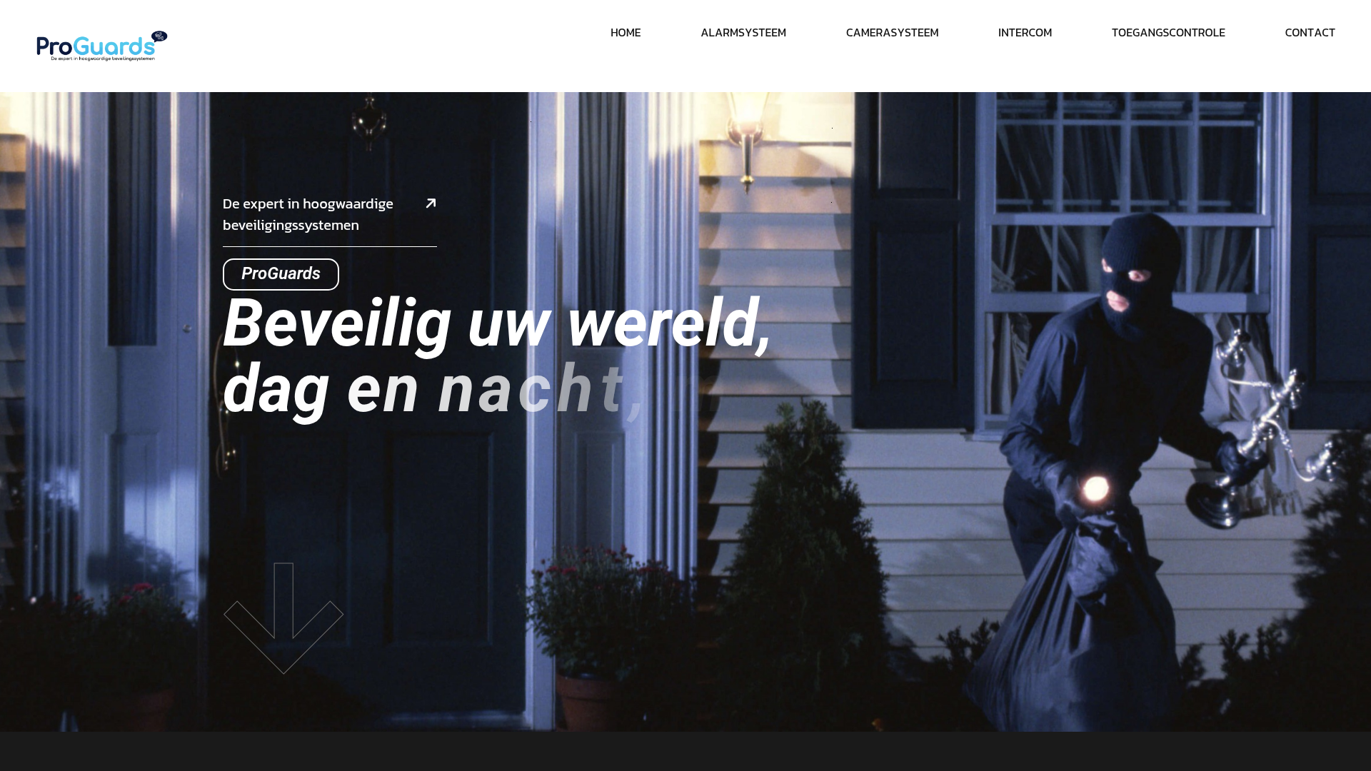 Screenshot van proguards.nl