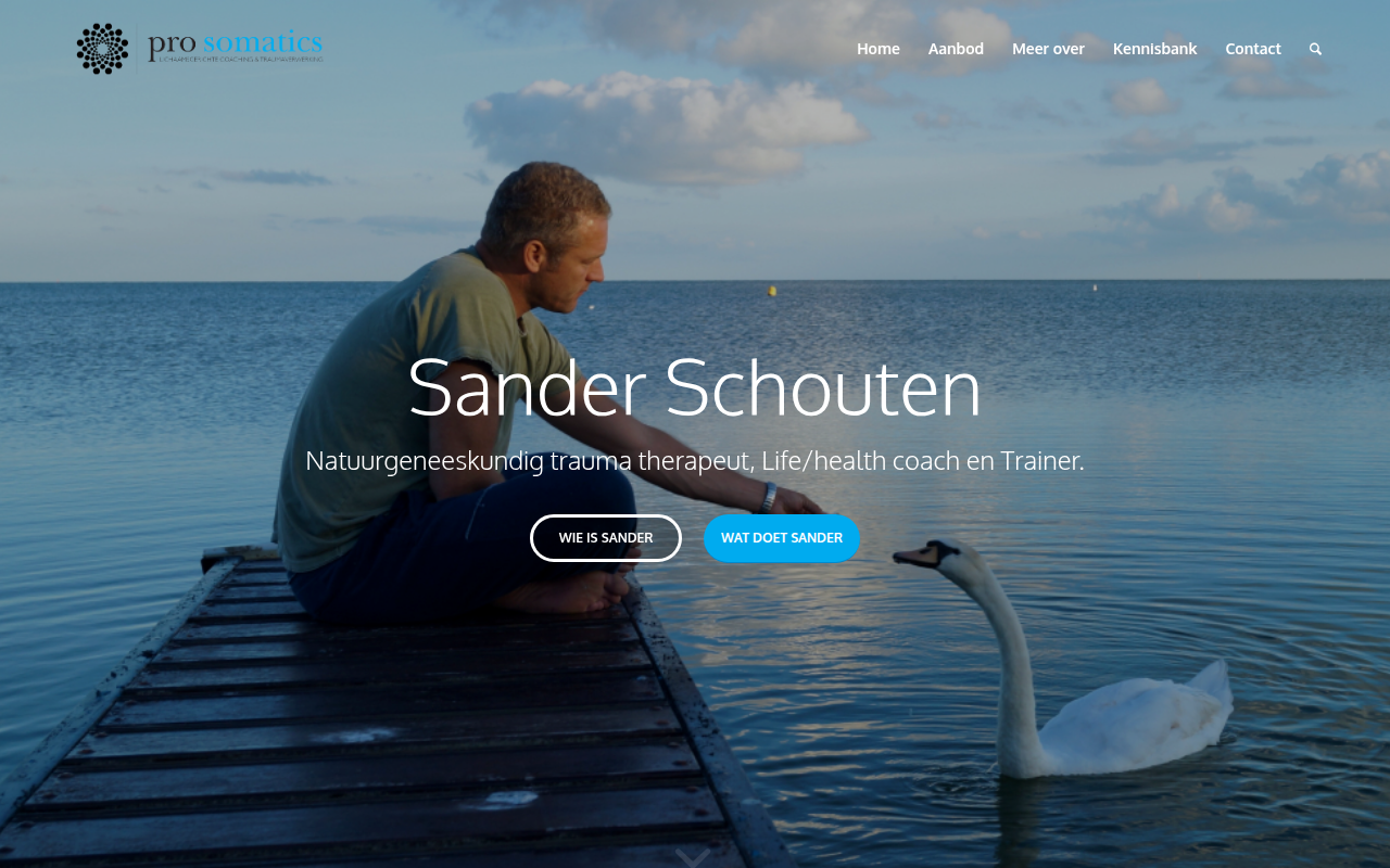 Screenshot van prosomatics.nl