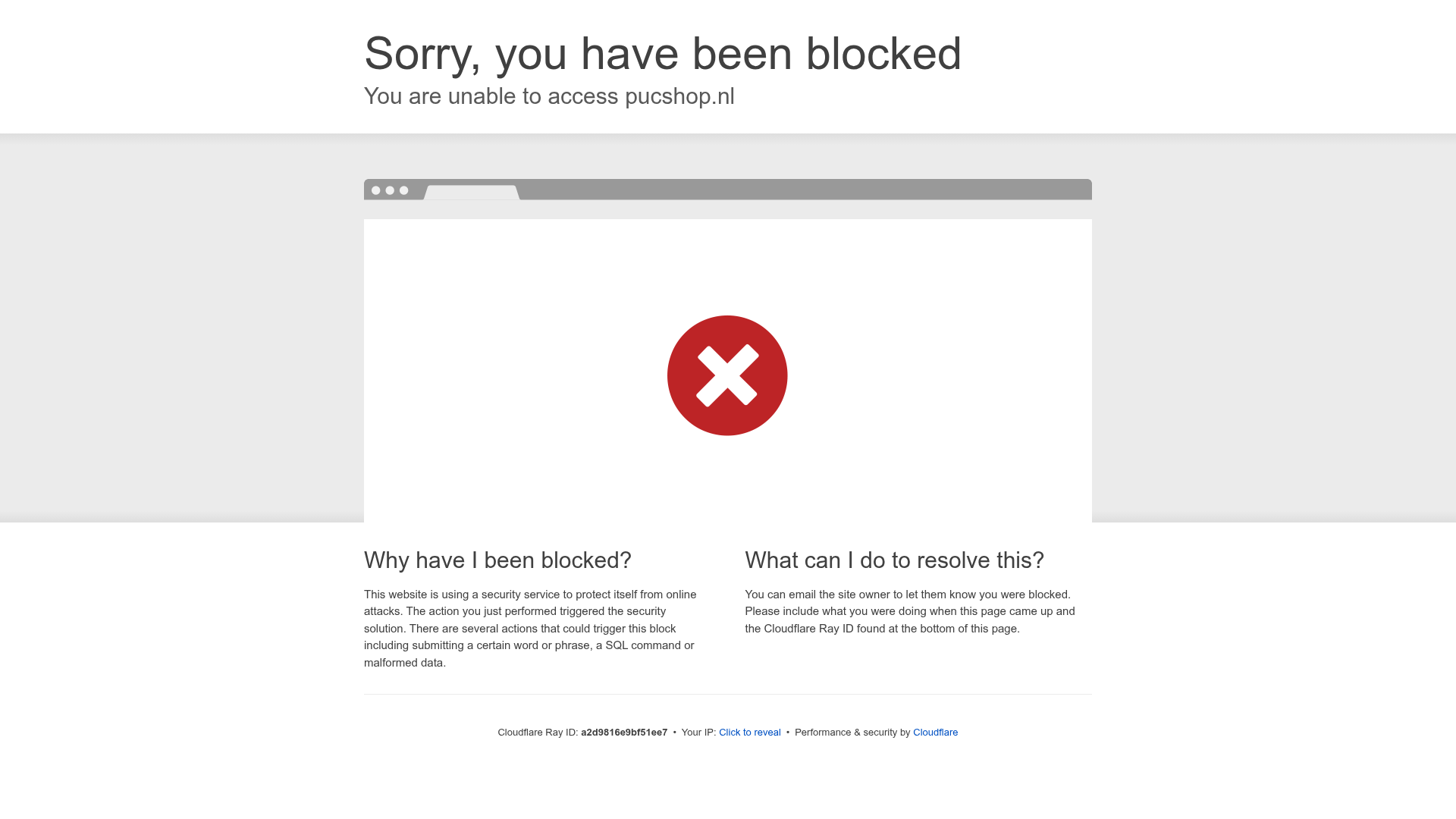 Screenshot van Pucshop