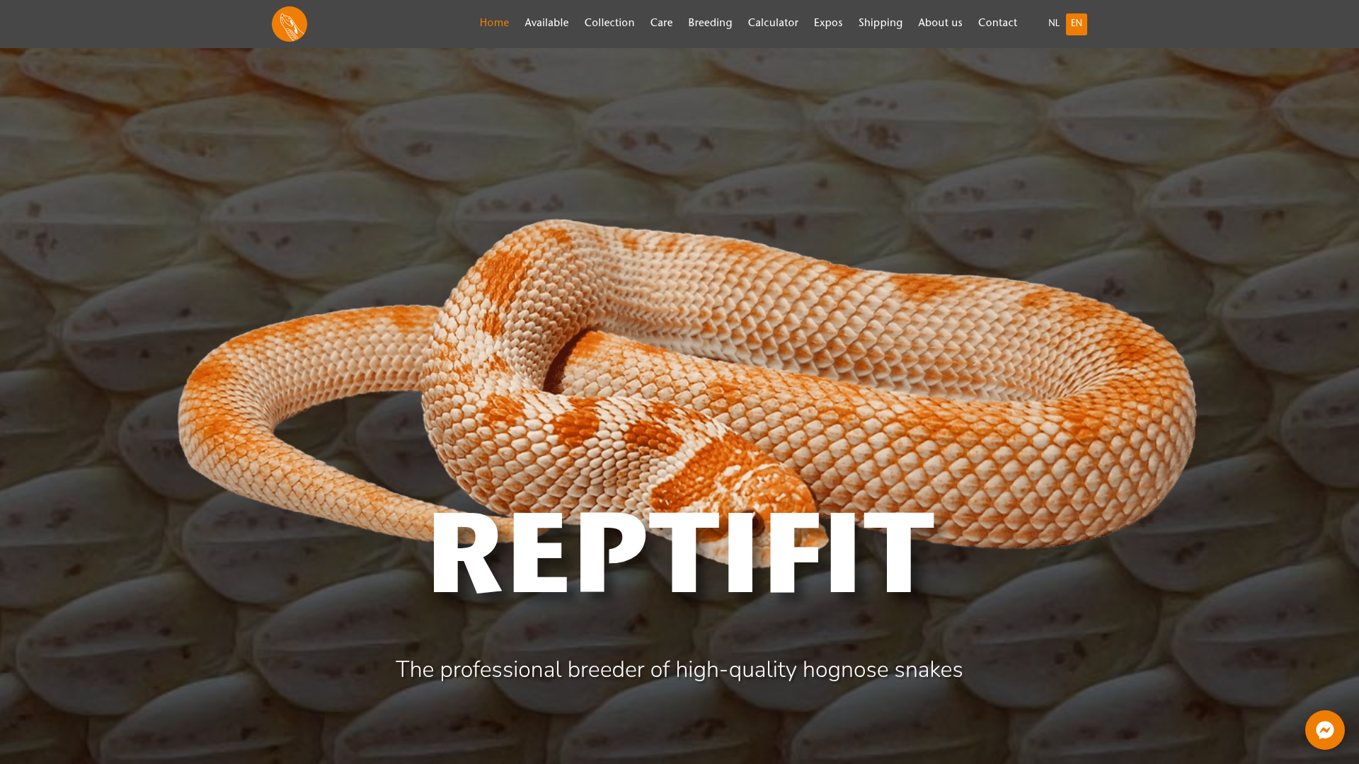 Screenshot van reptifit.nl