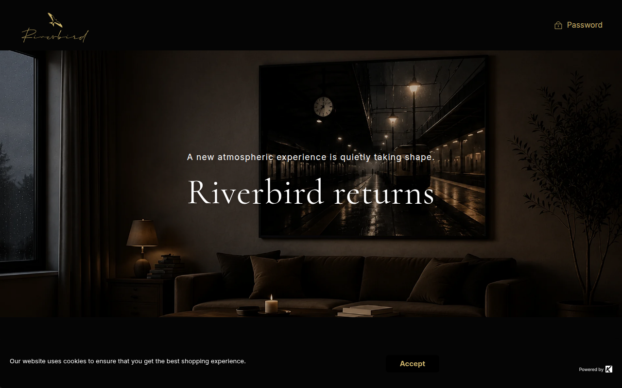 Screenshot van riverbird.studio