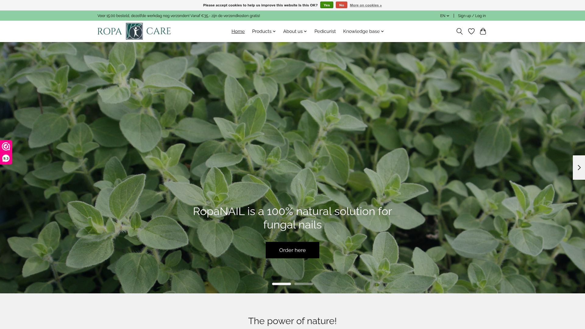 Screenshot van ropanail.com