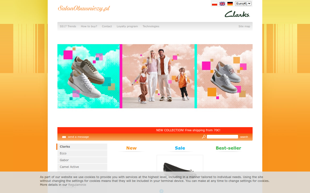 Screenshot van salonobuwniczy.pl