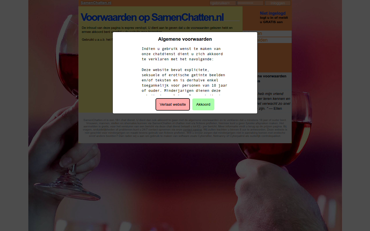 Screenshot van samenchatten.nl