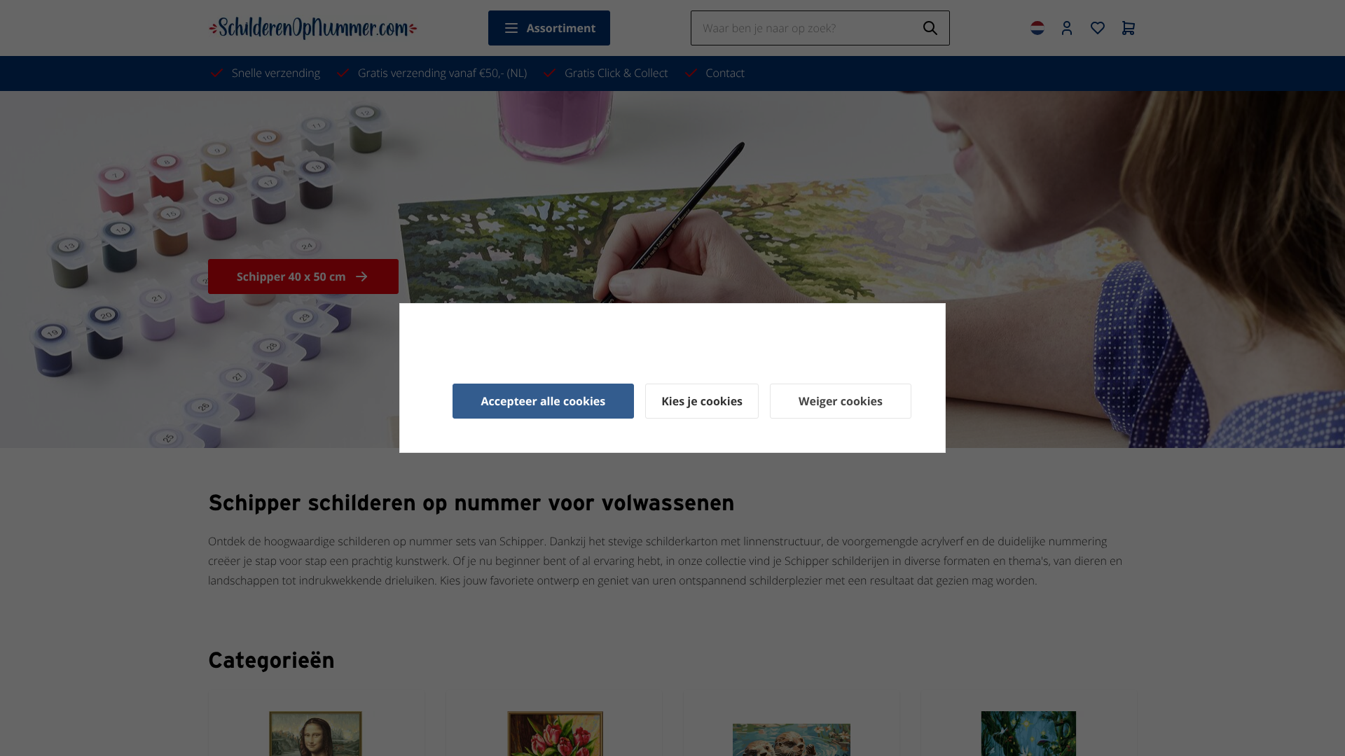 Screenshot van schilderenopnummer.com
