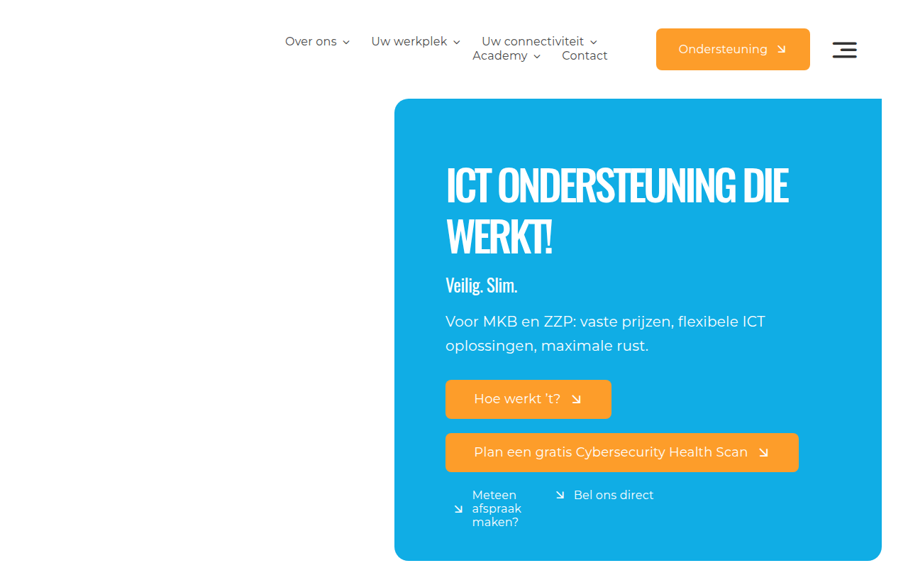 Screenshot van securedynamic.nl