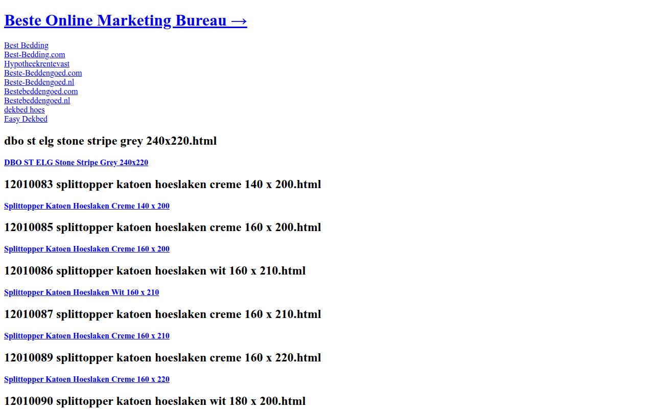 Screenshot van seo-snel.nl