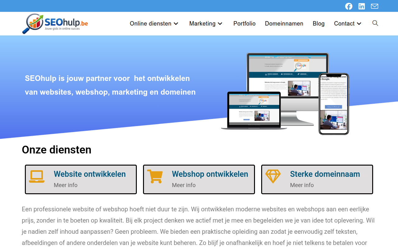 Screenshot van seohulp.be