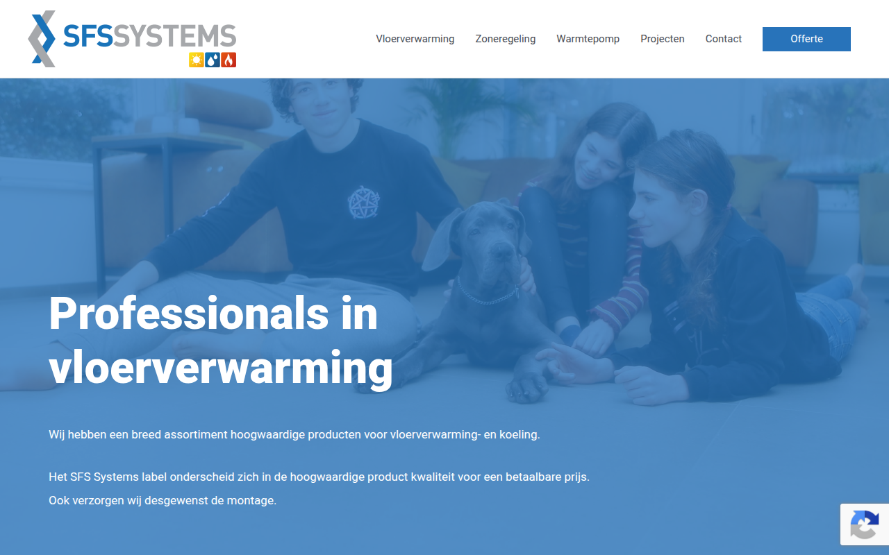 Screenshot van sfssystems.nl