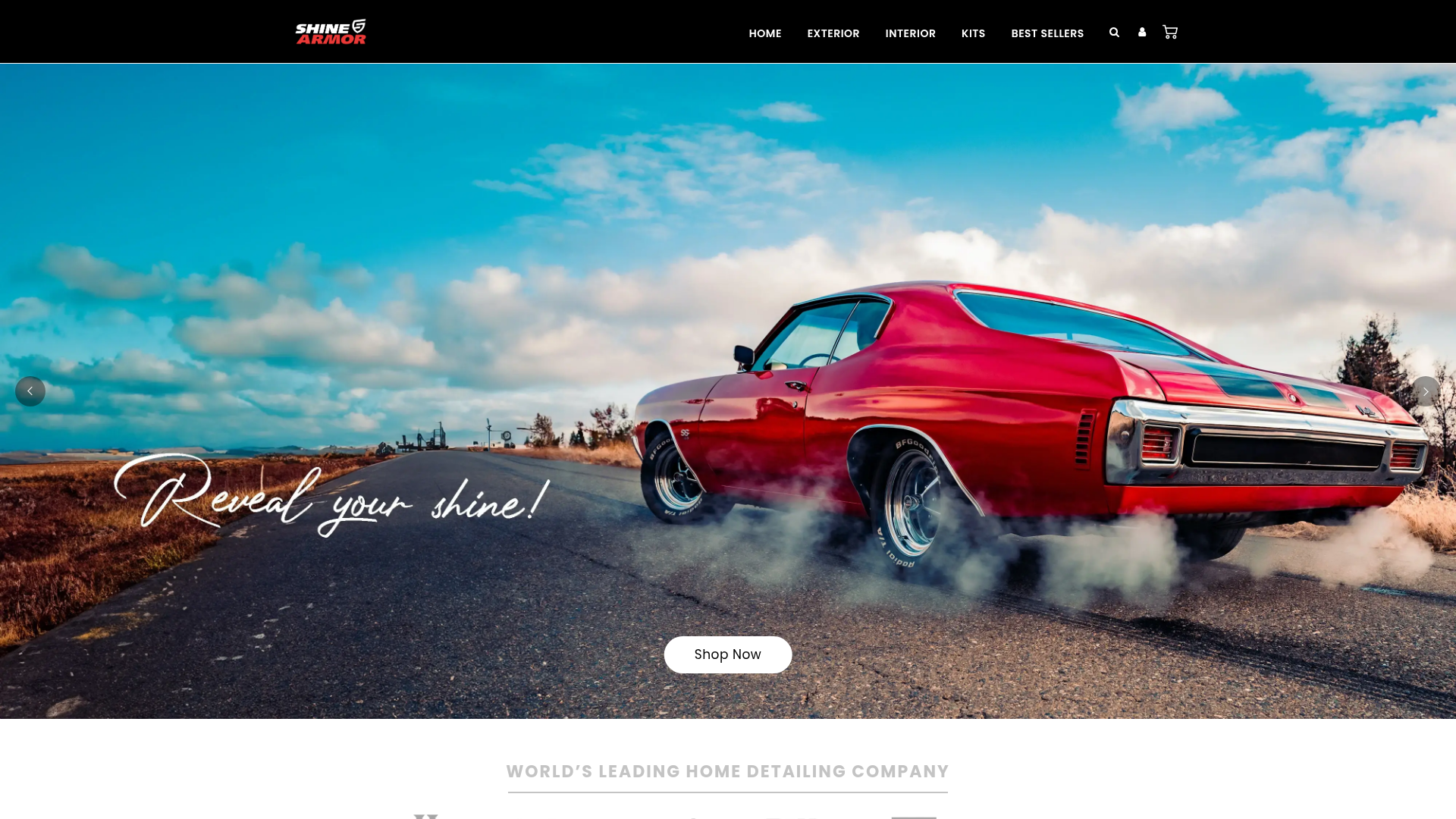 Screenshot van shinearmor.com