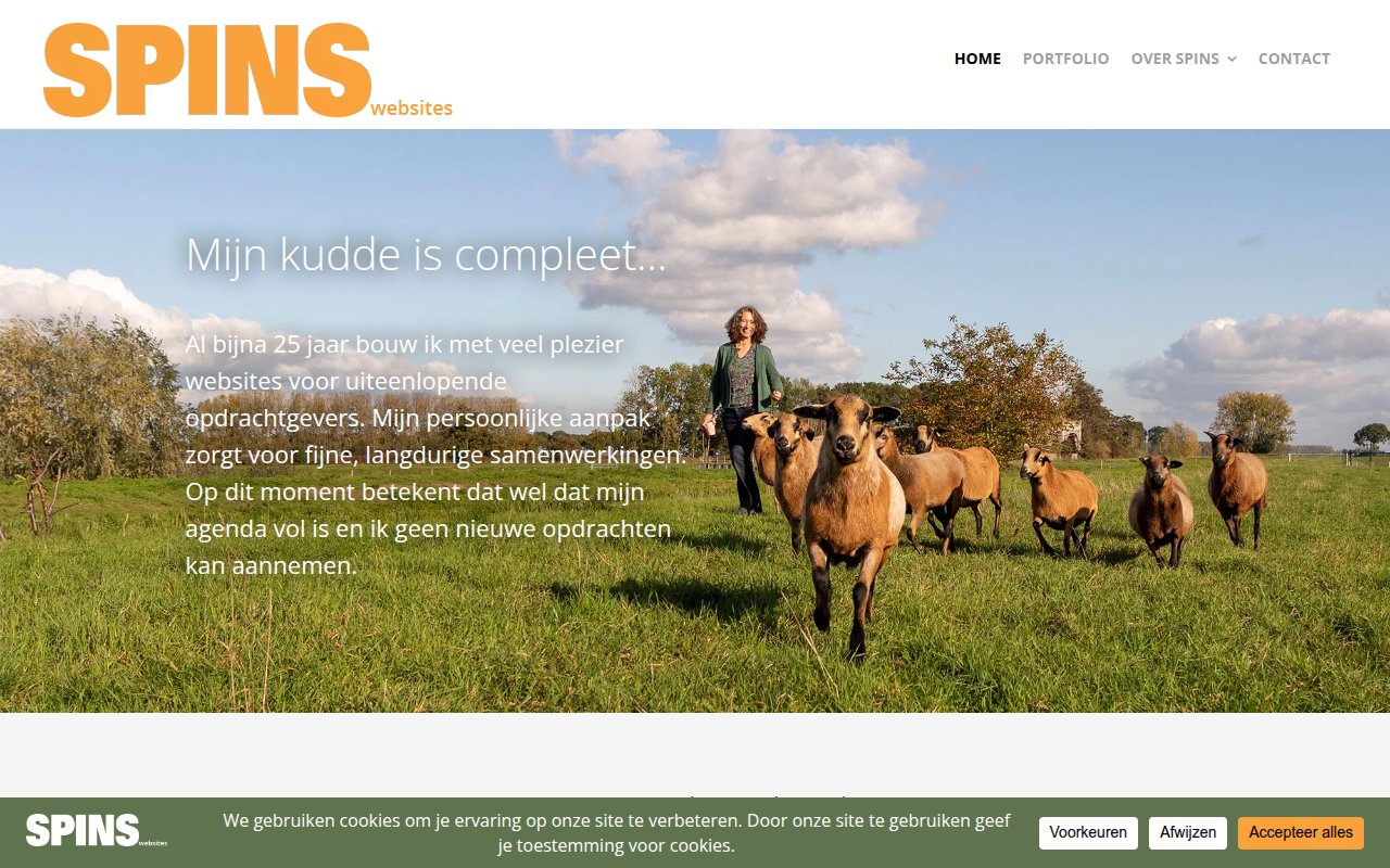 Screenshot van spins.nl