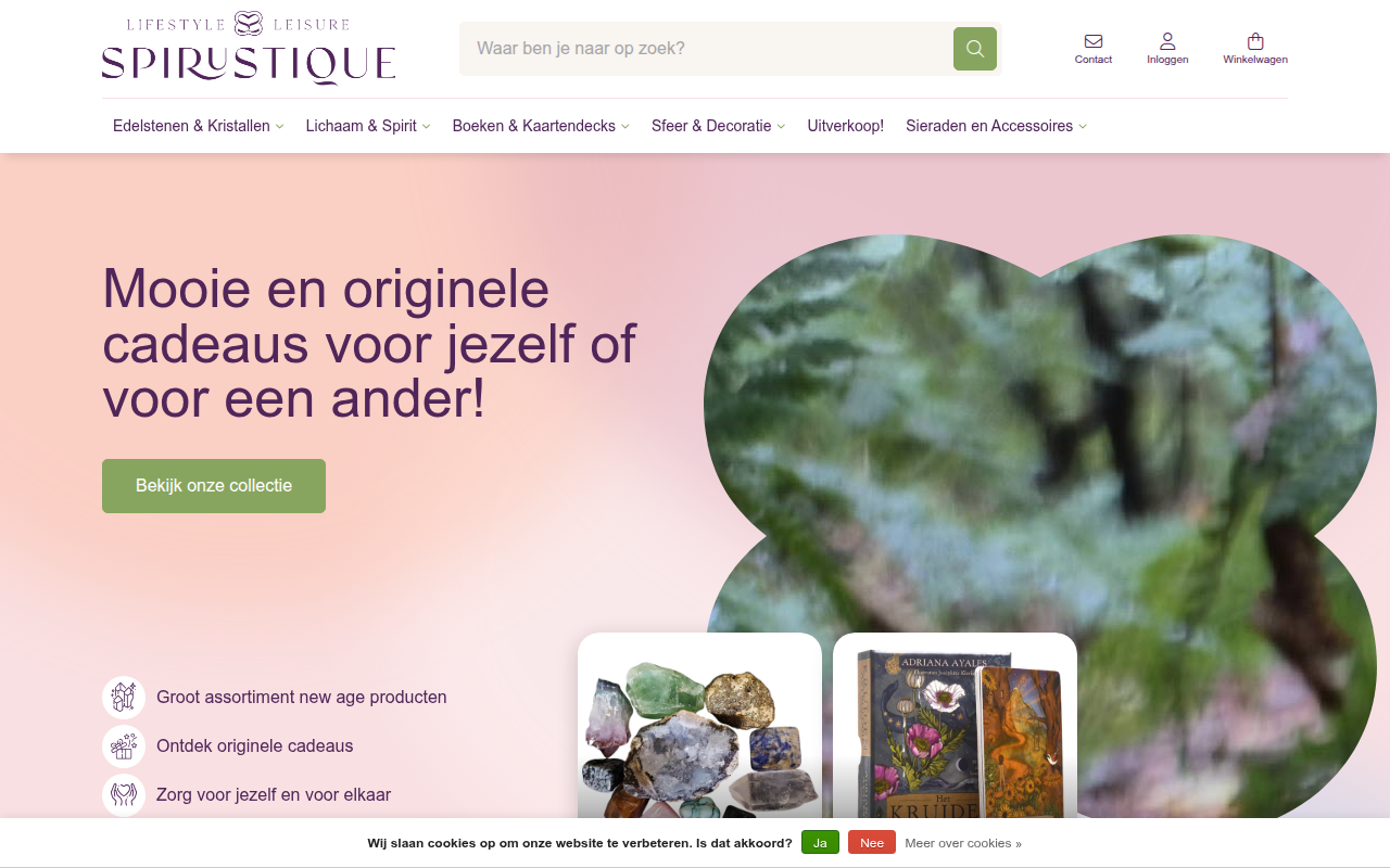 Screenshot van spirustique.nl