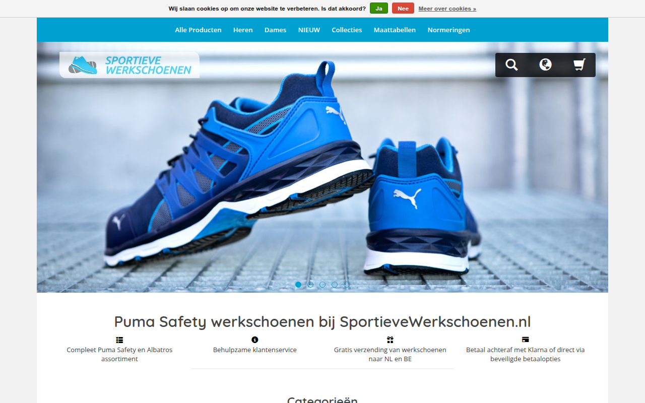 Screenshot van sportievewerkschoenen.nl