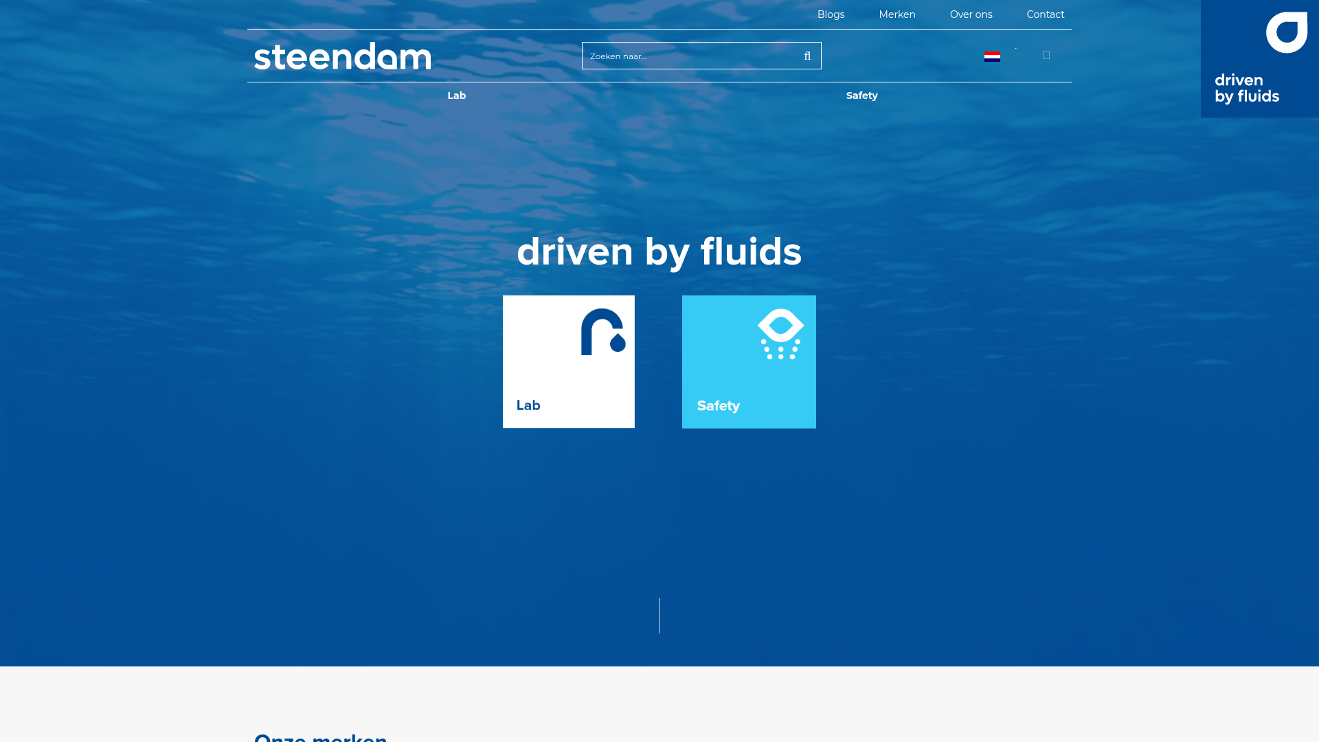Screenshot van steendam.nl