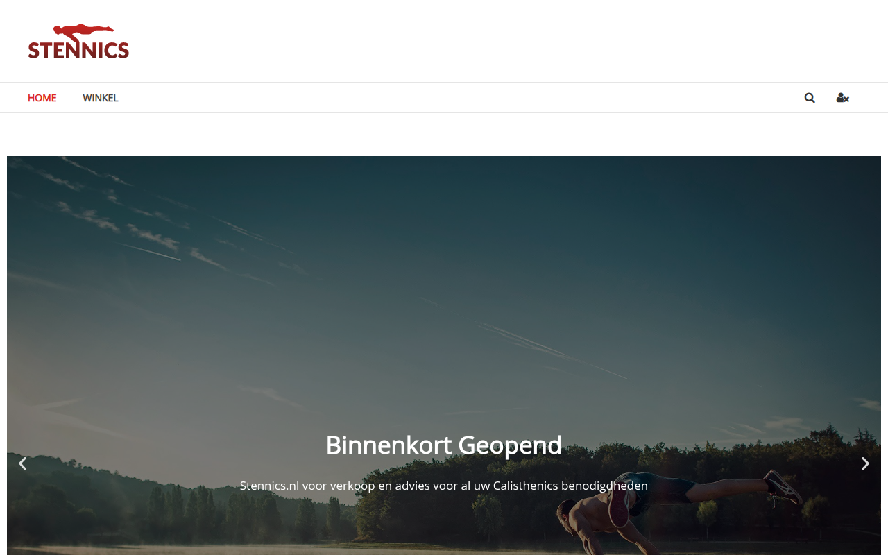 Screenshot van stennics.nl