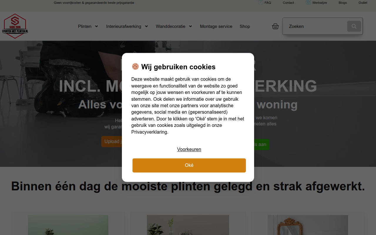 Screenshot van stuntenmetplinten.nl