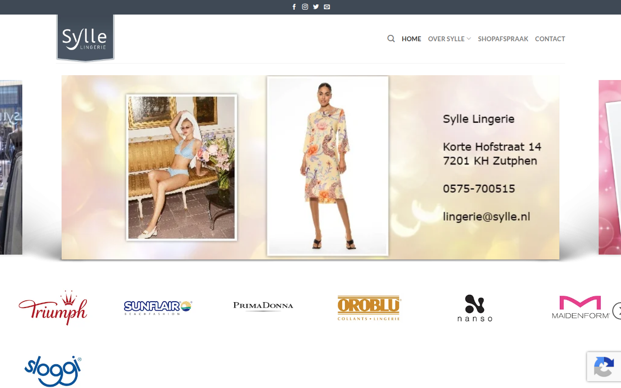 Screenshot van sylle.nl