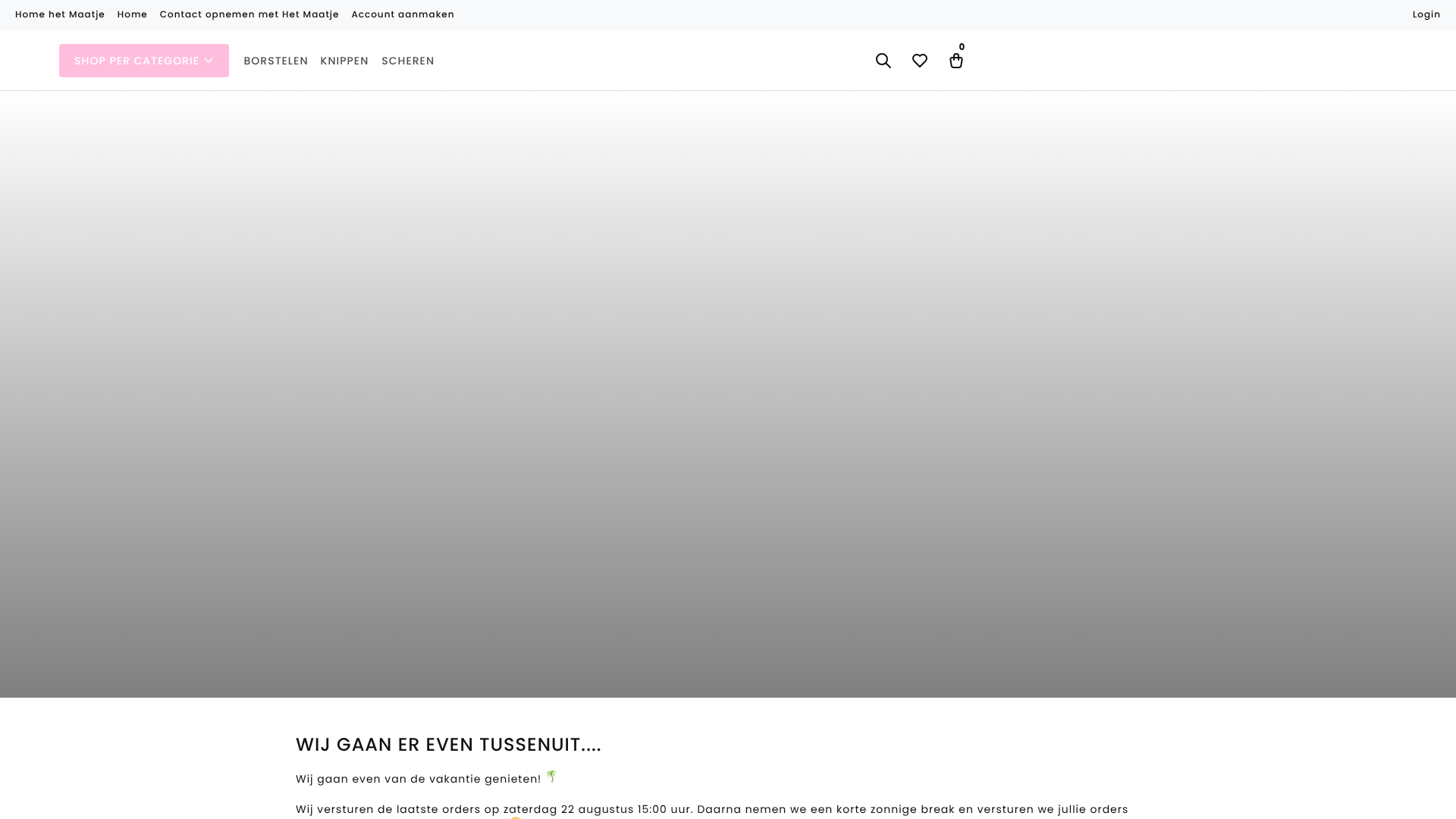 Screenshot van t-maatje.nl