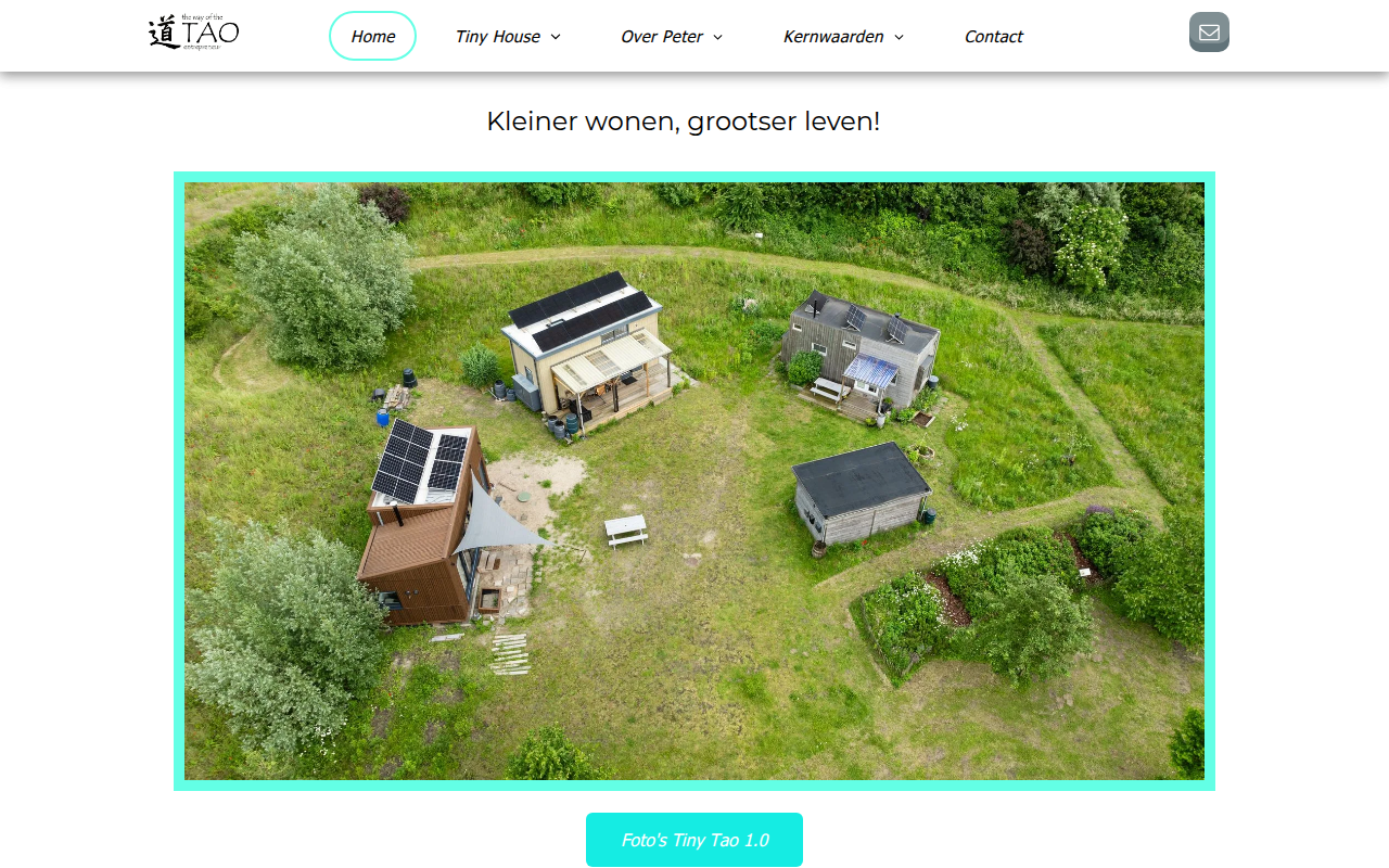 Screenshot van taoentrepreneur.nl