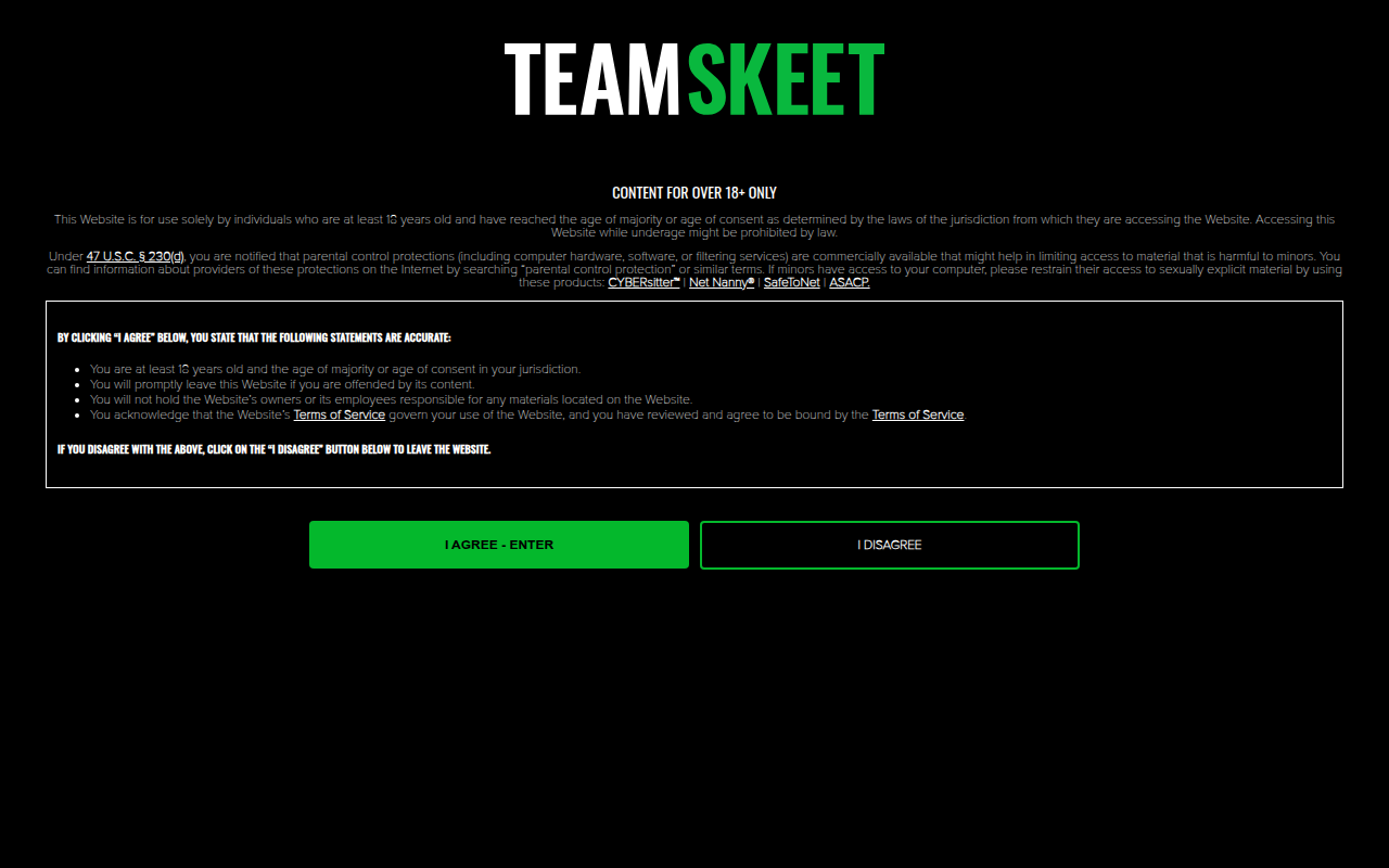 Screenshot van teamskeet.com