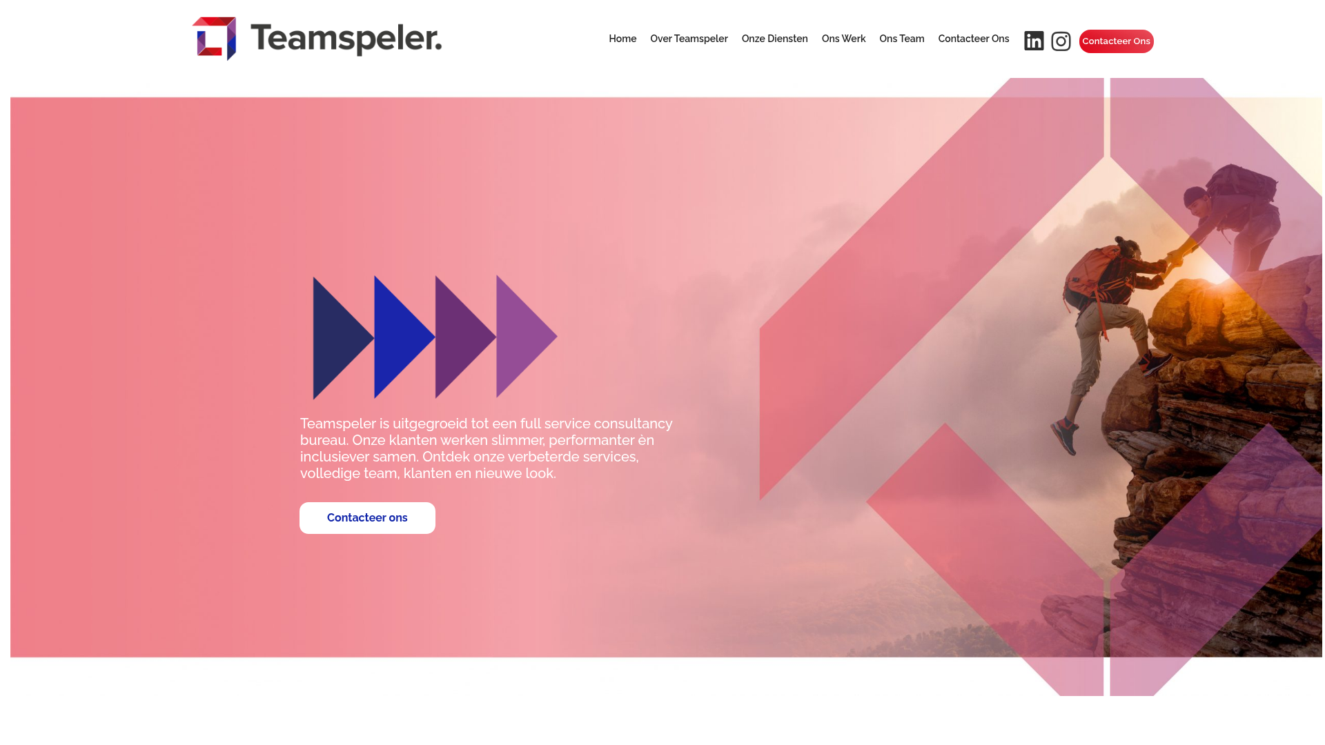 Screenshot van teamspeler.be