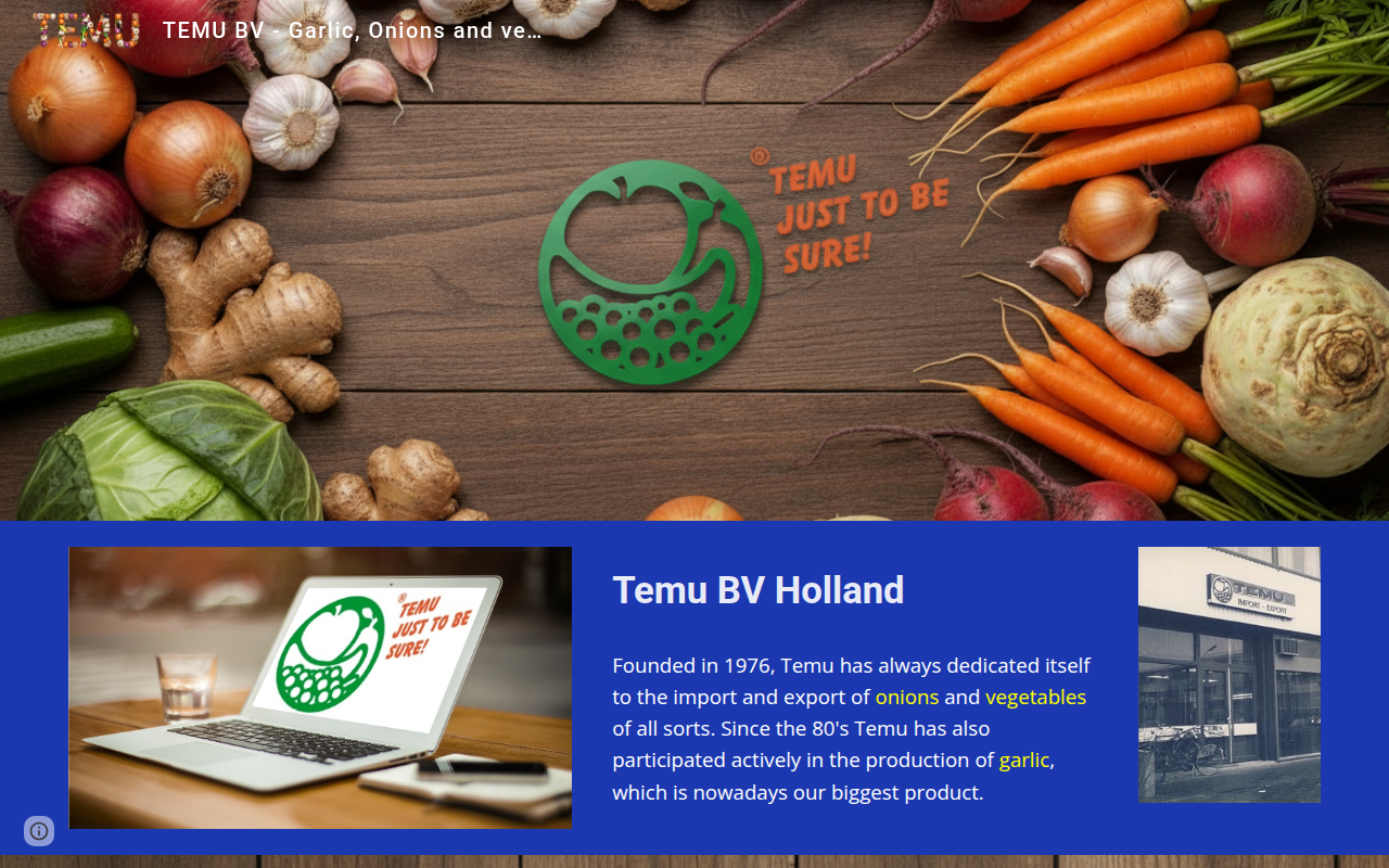 Screenshot van temu.nl