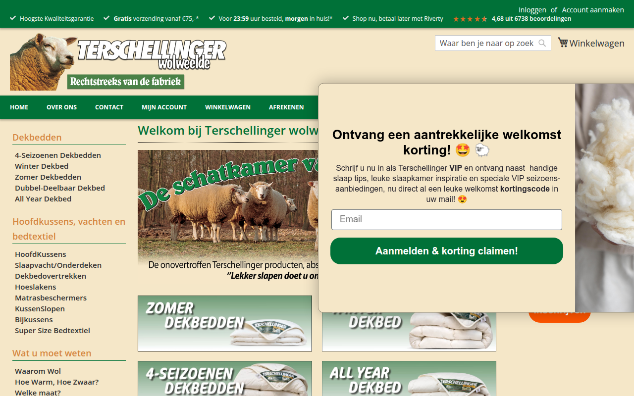Screenshot van terschellinger.com