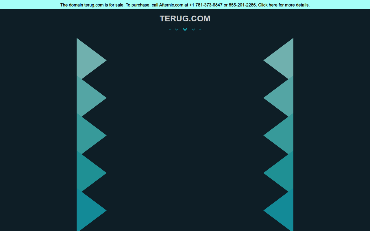 Screenshot van terug.com