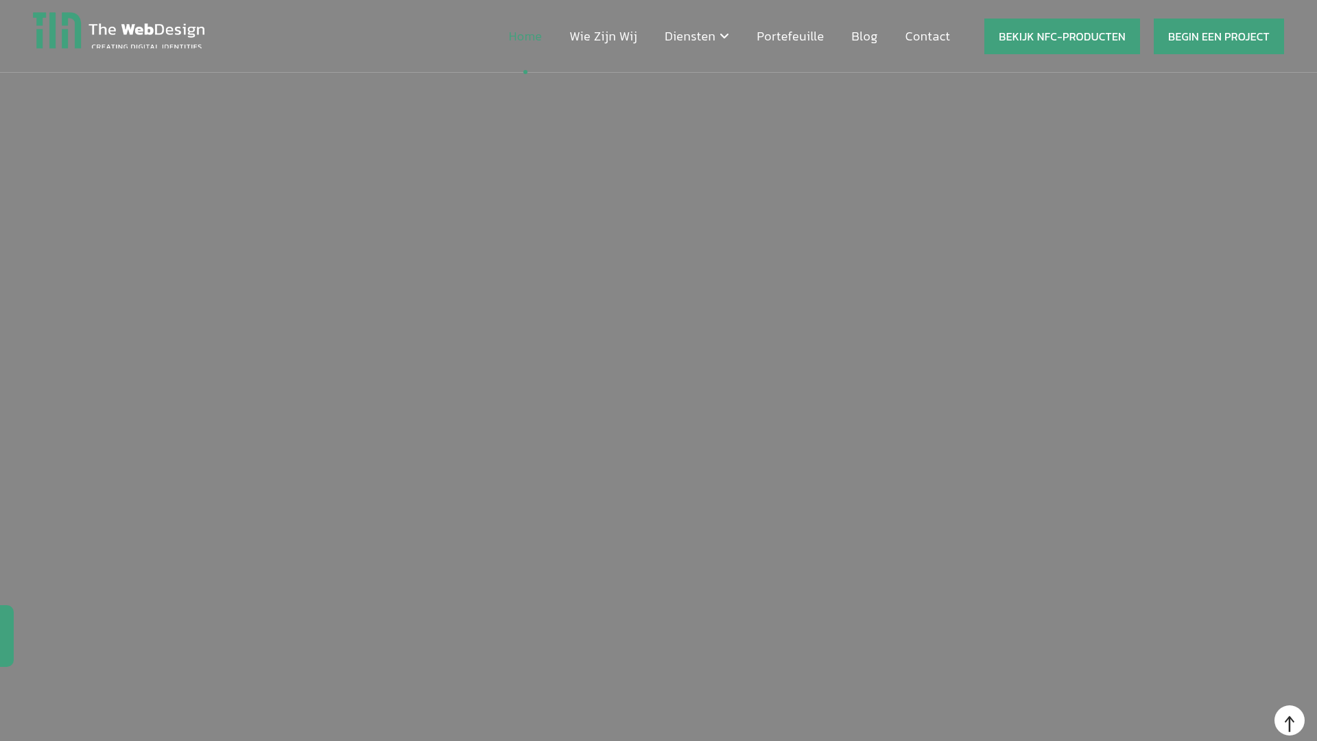Screenshot van thewebdesign.nl
