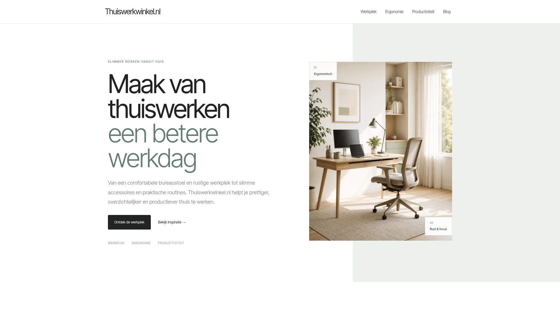 Screenshot van thuiswerkwinkel.nl