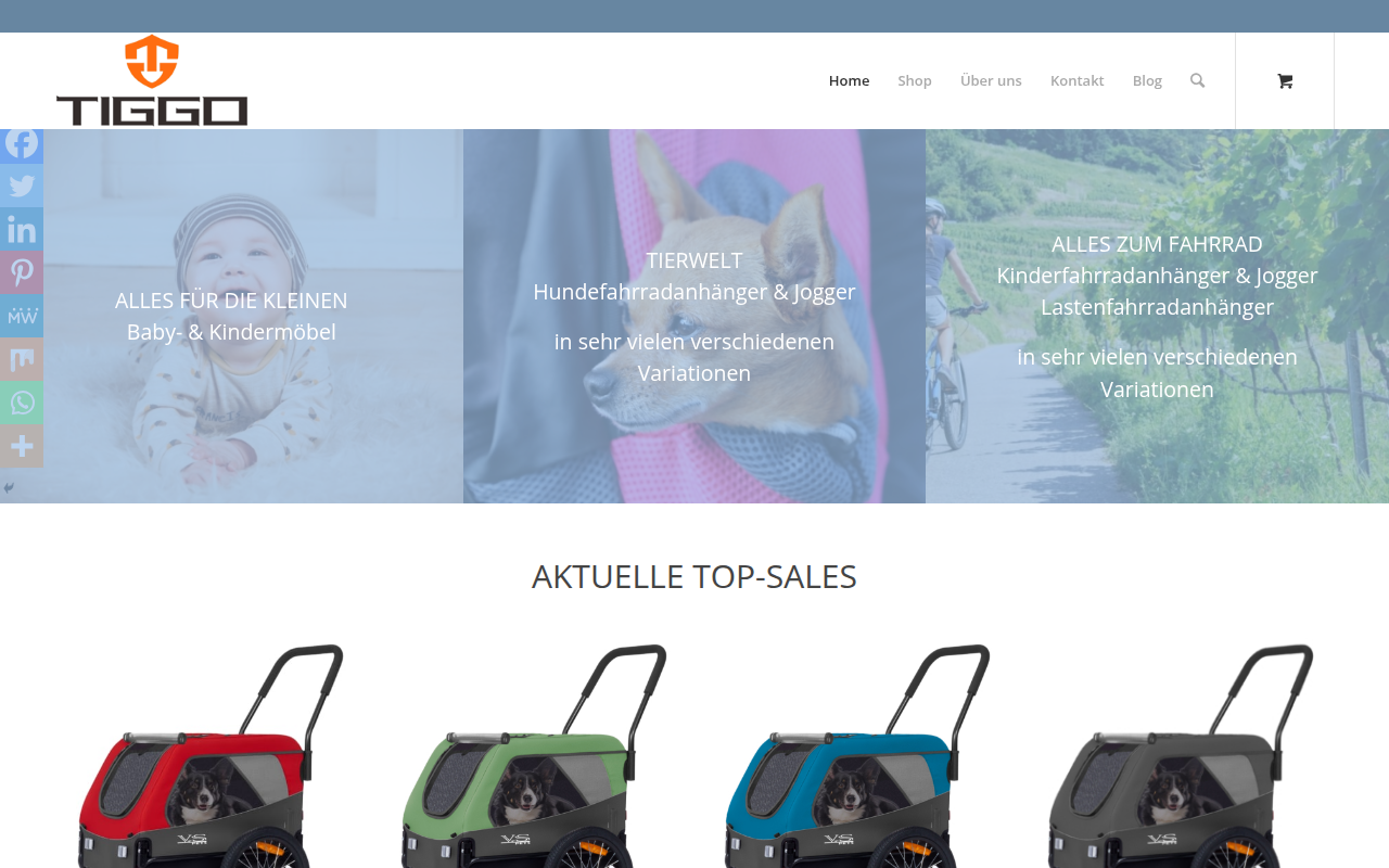 Screenshot van tiggo-shop.com