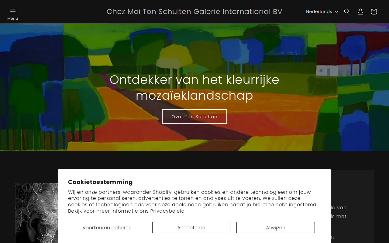 Screenshot van tonschulten.nl