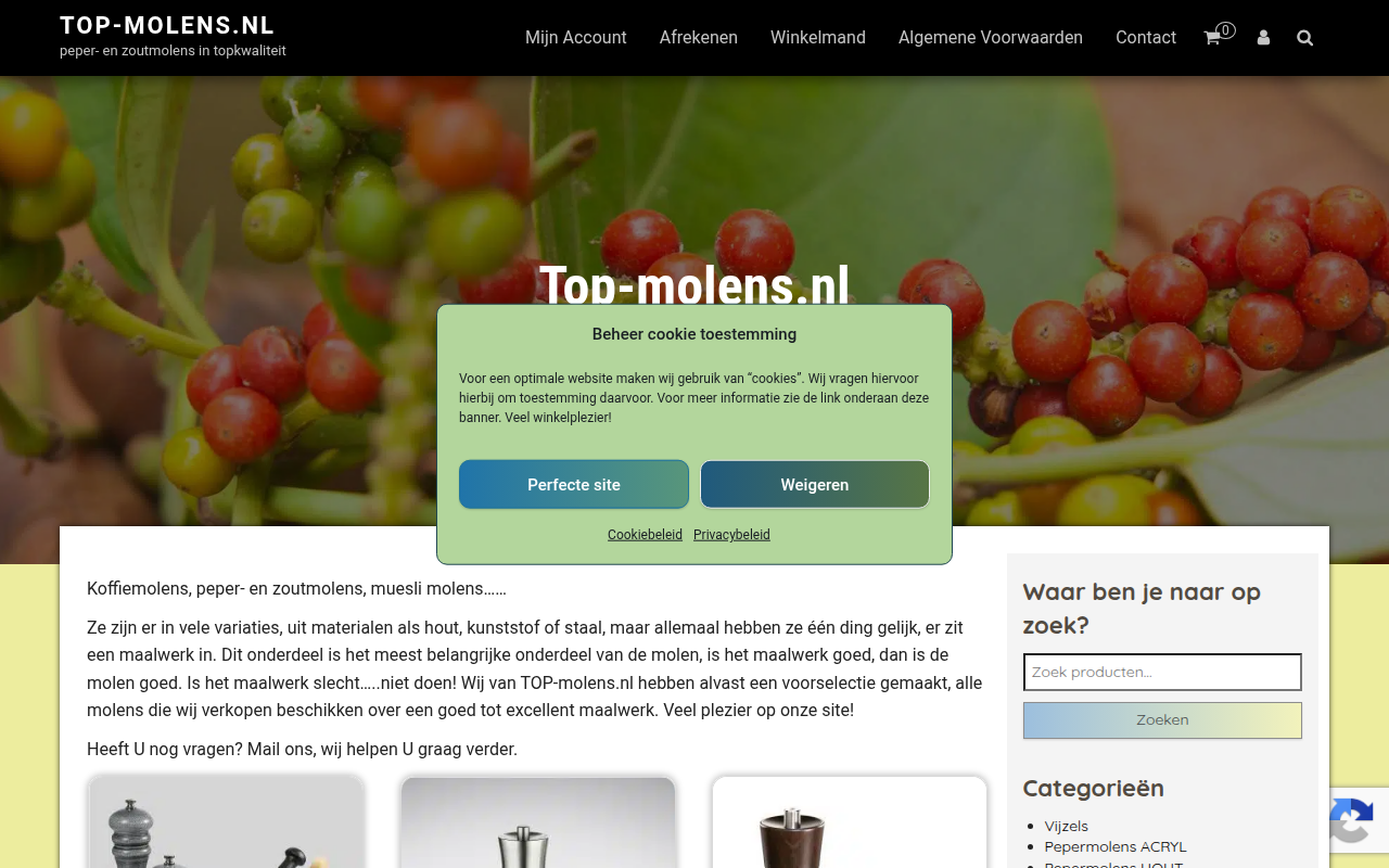 Screenshot van top-molens.nl