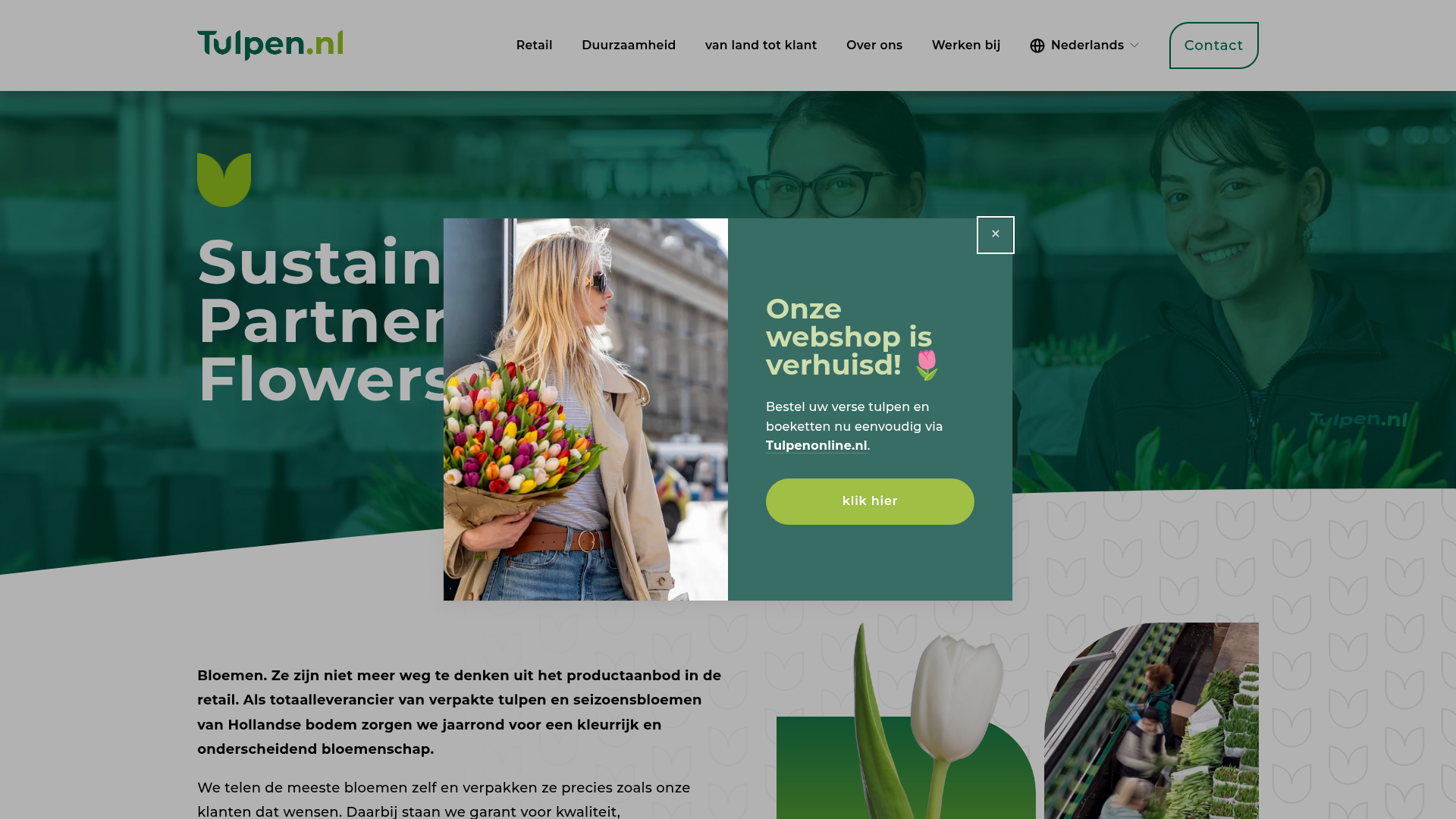 Screenshot van tulpen.nl