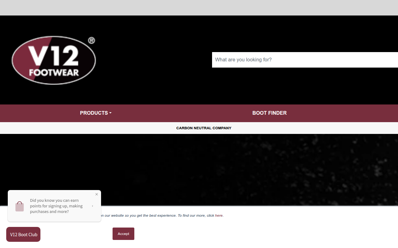 Screenshot van v12footwear.com