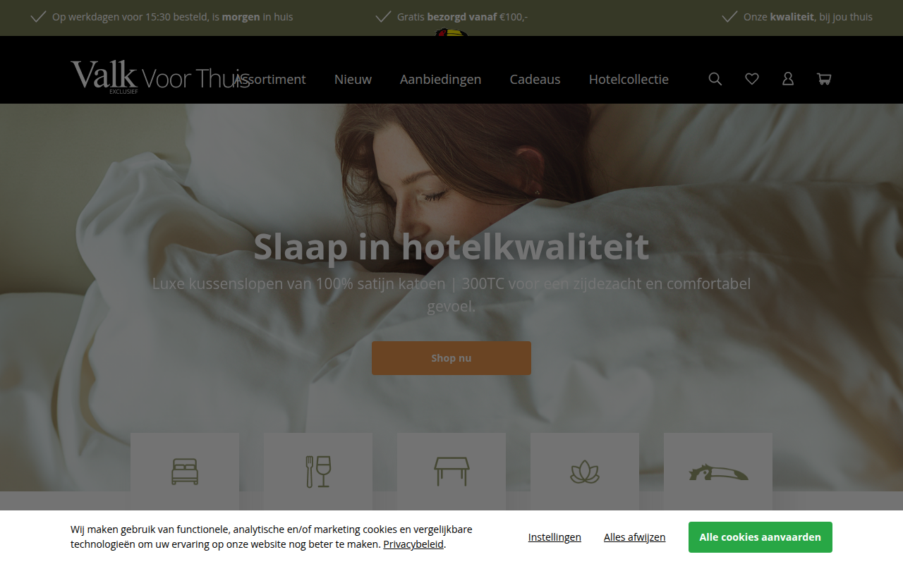 Screenshot van valkvoorthuis.nl