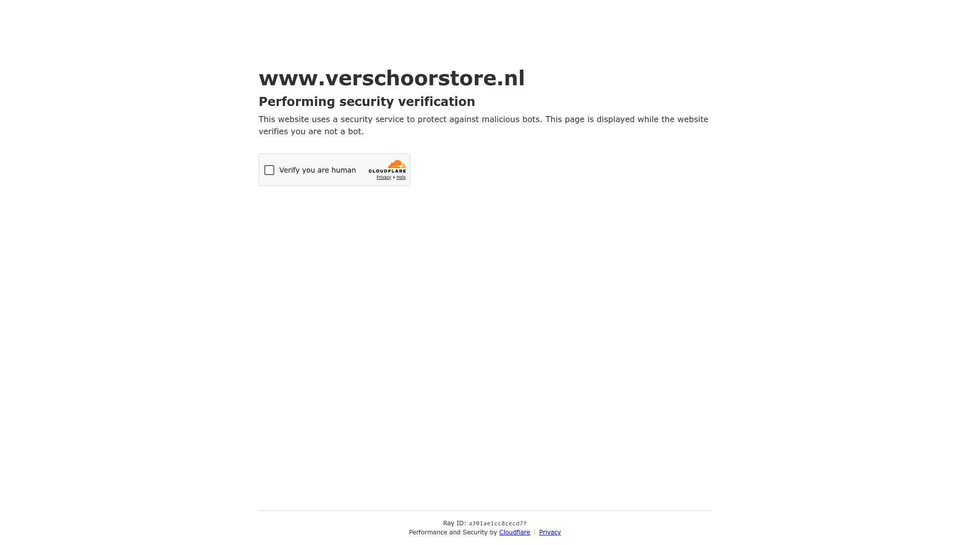 Screenshot van verschoorstore.nl