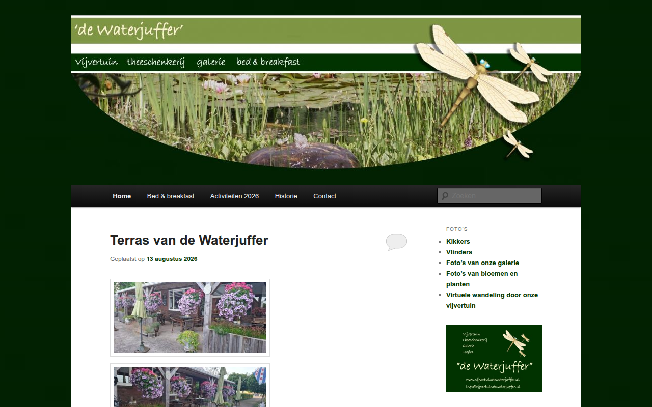Screenshot van vijvertuindewaterjuffer.nl